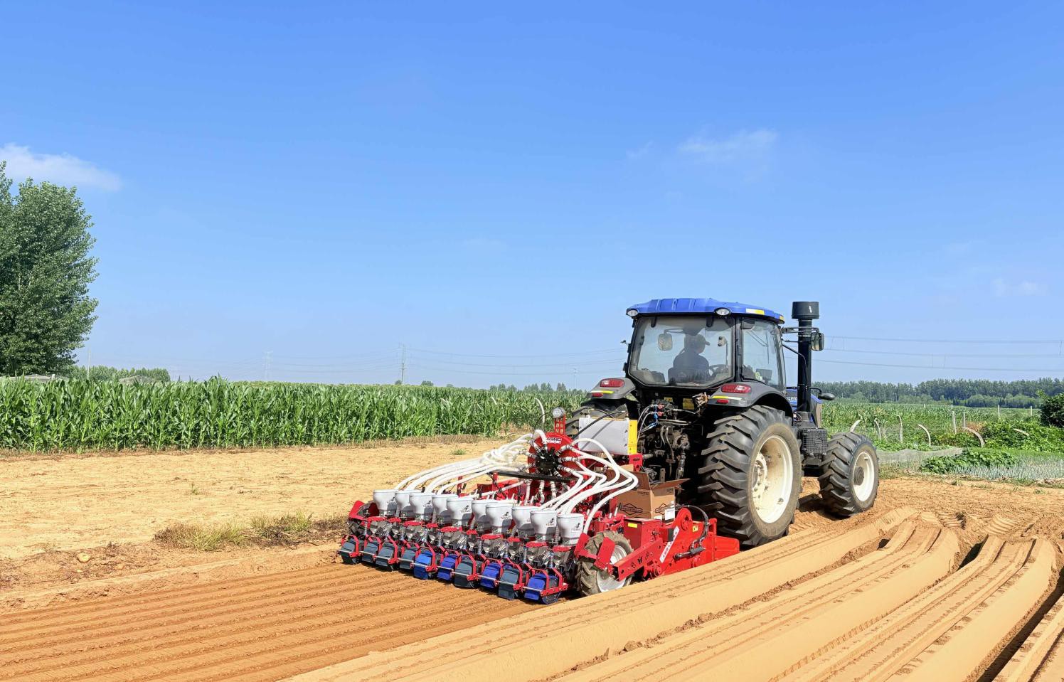 product-1496-959 product-1496-959