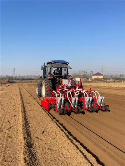 Machine de plantation professionnelle de carottes à aspiration d'air